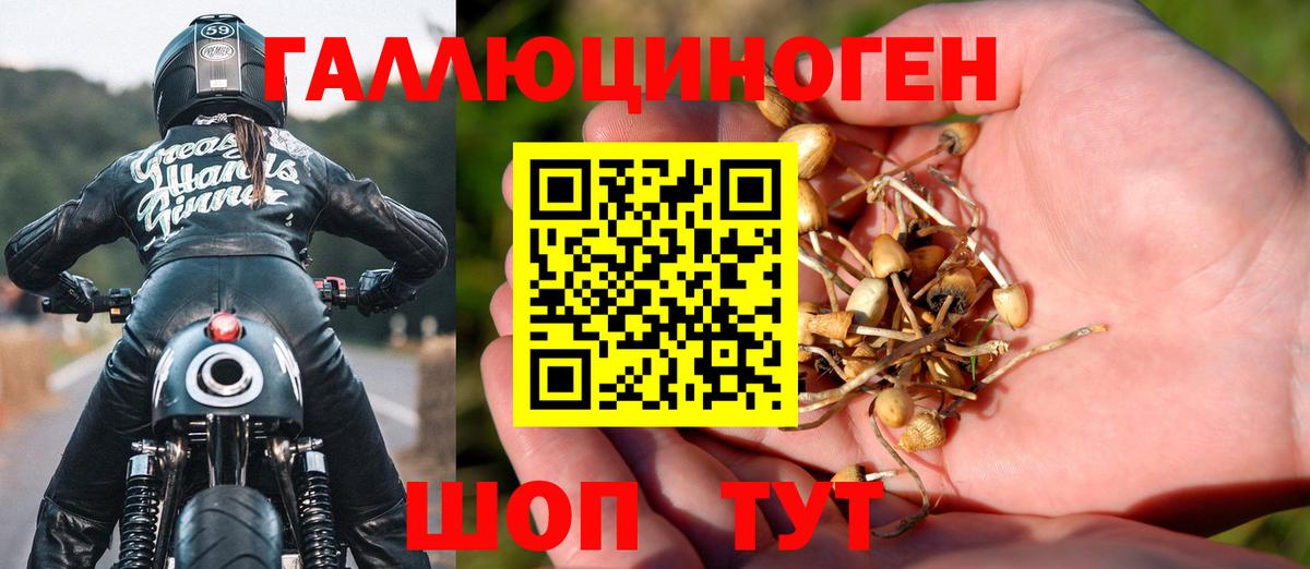 Галлюциногенные грибы MAGIC MUSHROOMS Курчалой